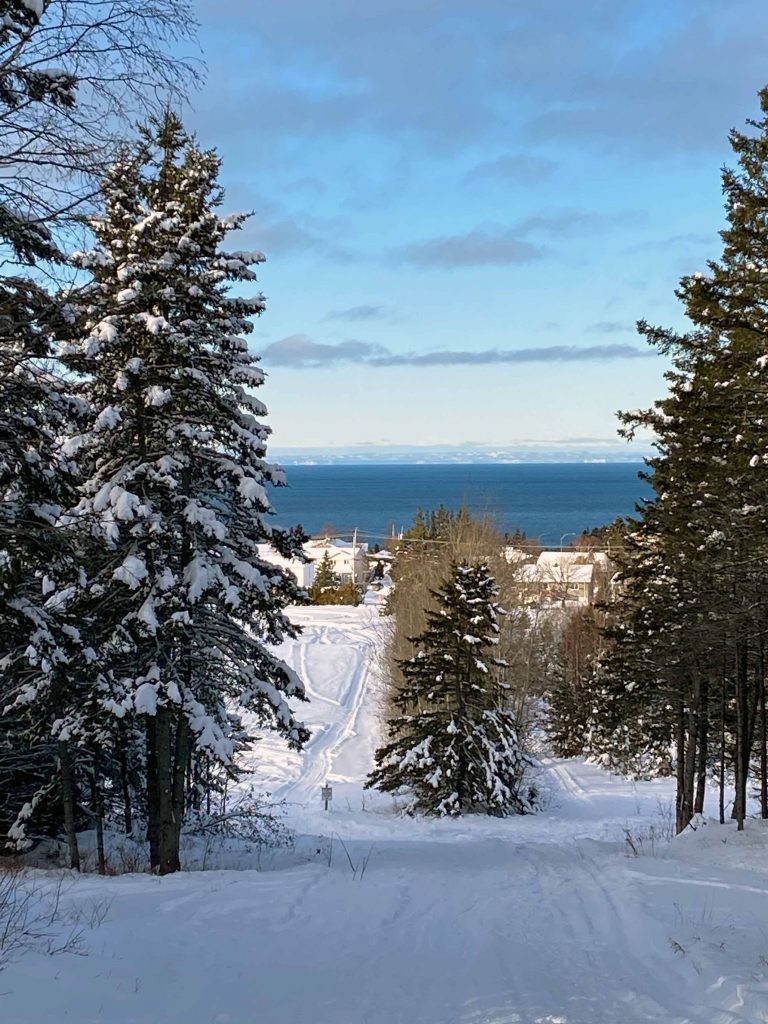 Winter in Rimouski. From a hill overlooking snowy pine trees, ski tracks, bungalows, then the St-Lawrence River. It is blue as the sky.