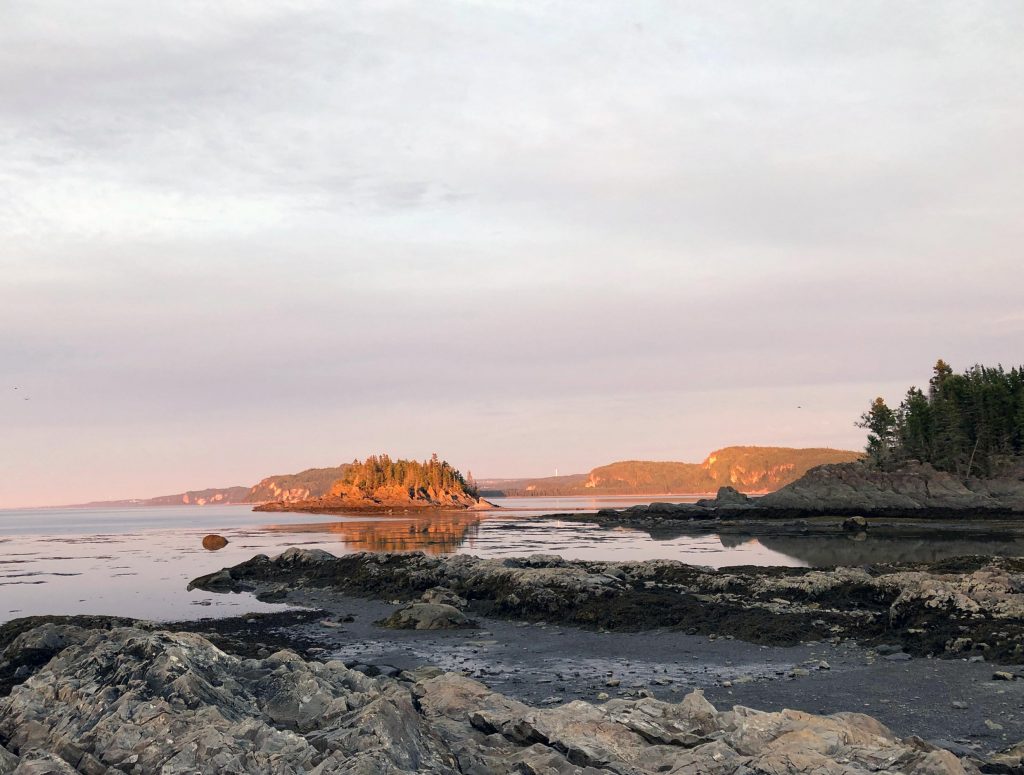 Landscape. Foreground shore of mud and rocks jut onto a lake. A small island and a rocky shore with trees are in the mid-ground. Small mountains under late day sun in the background. South shore of the St-Laurence River.