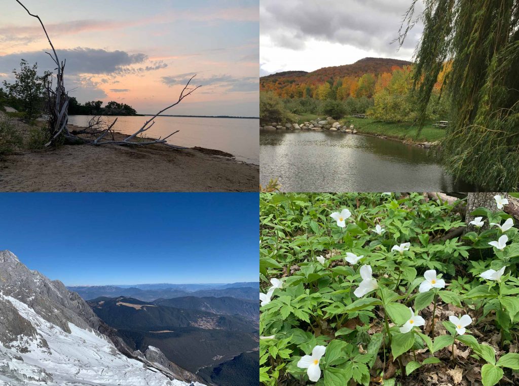 Grid of four colour landscape photos in one. Top left: Summer on a small beach by a calm lake at sunset; top right: View of a lake in fall from a distance, green grass on the shore, trees with orange and yellow leaves frame the lake; bottom left: View from a snowy mountain top in winter with clear blue sky; bottom right: Springtime, forest floor covered with white trillium flowers in full bloom, surrounded by their green leaves and a tree.